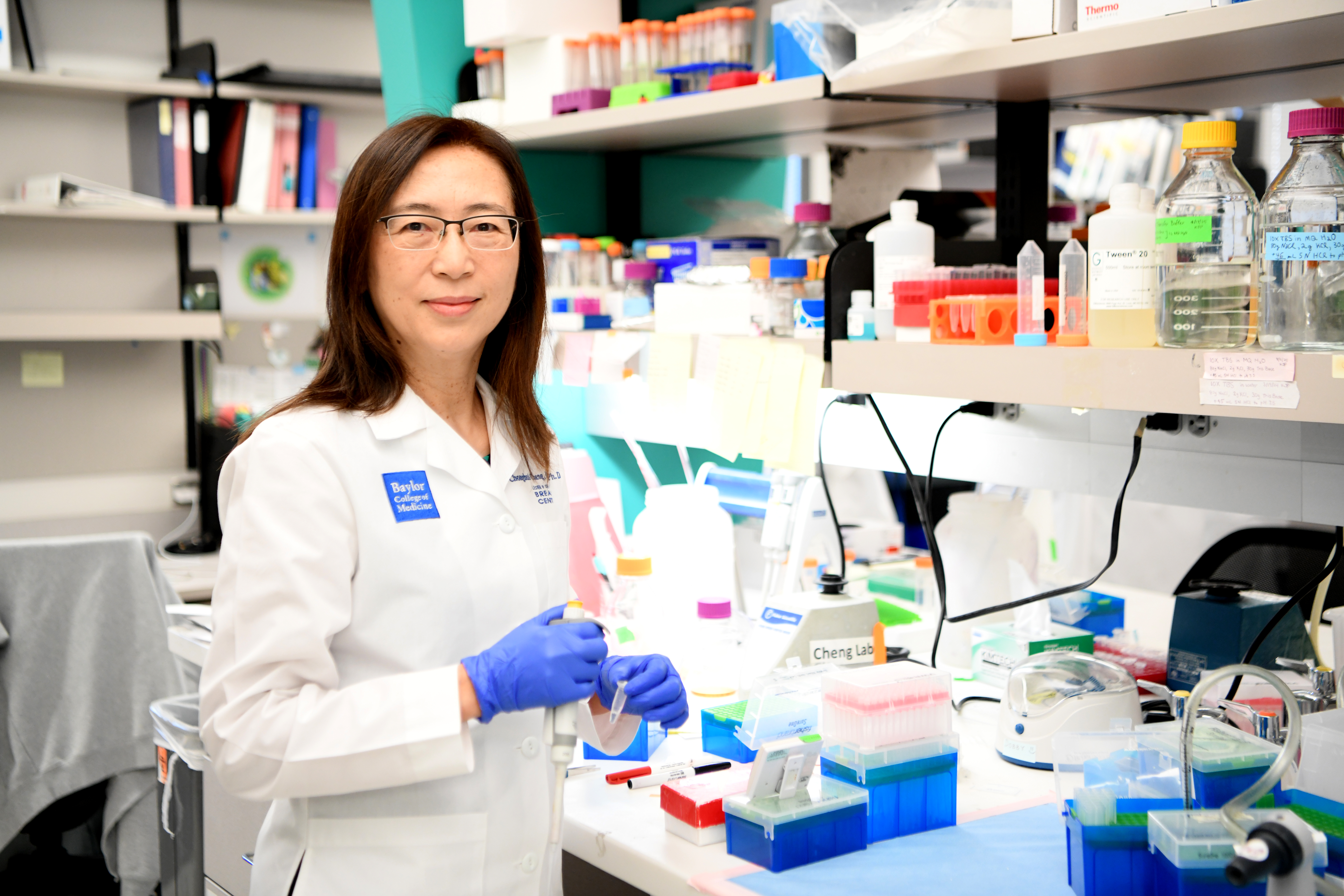Cheng Lab photo — Lab